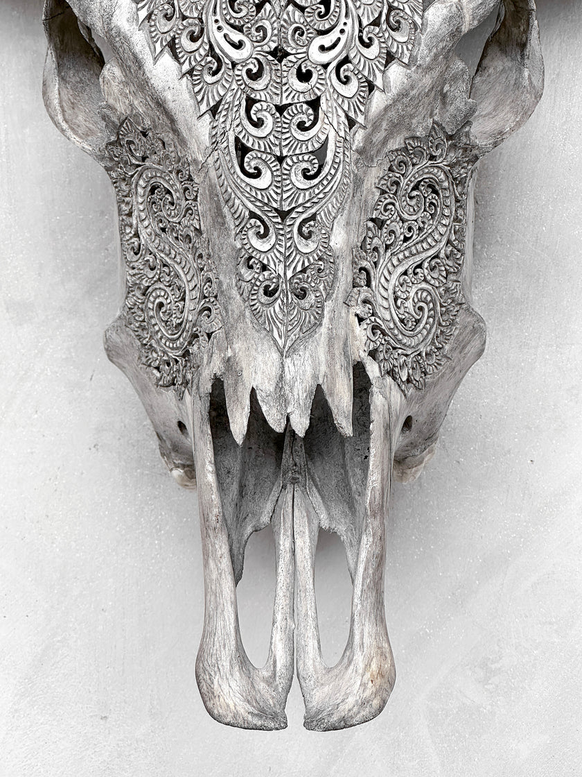 Grey Carved Buffalo Skulls with Leaf motif | Skull,A/176