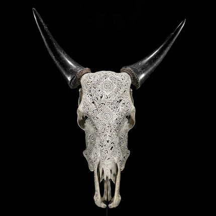 Hand-Carved Cow Skull with Traditional Balinese Design – Tribal Wall Art – Artisan Carved Skull Decor with Black Horns - Skull,A/073