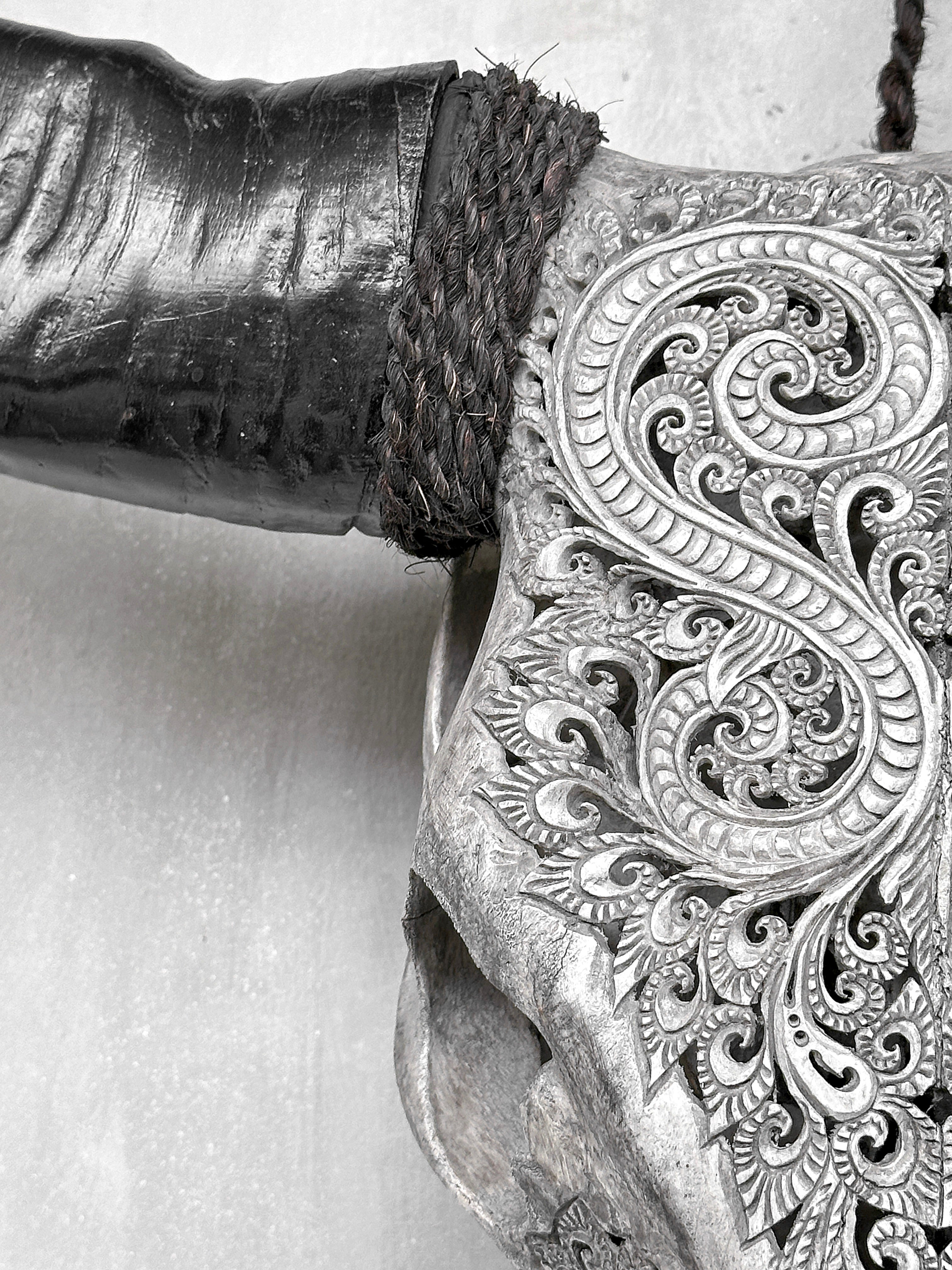 Grey Carved Buffalo Skulls with Leaf motif | Skull,A/176