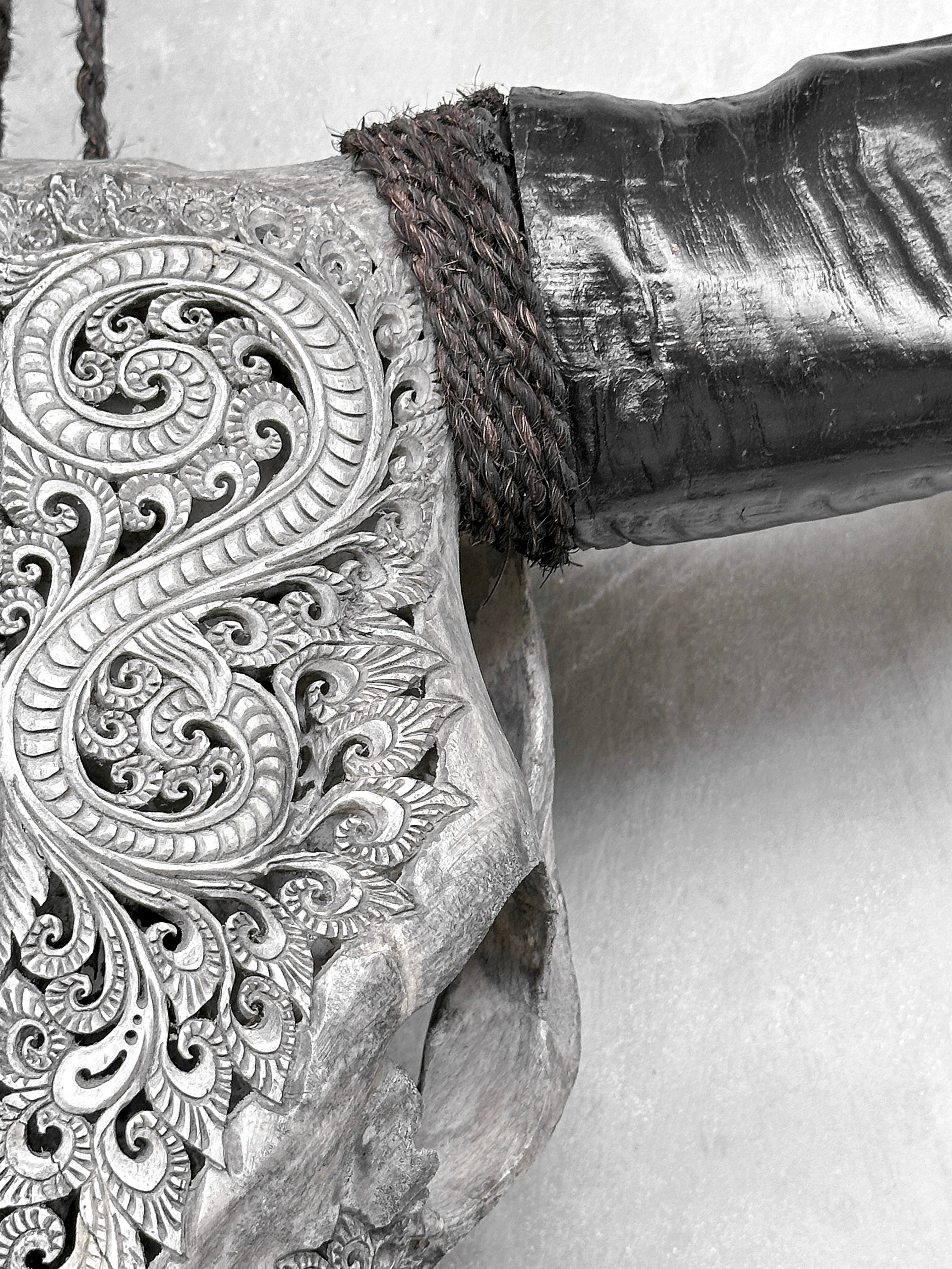 Grey Carved Buffalo Skulls with Leaf motif | Skull,A/176