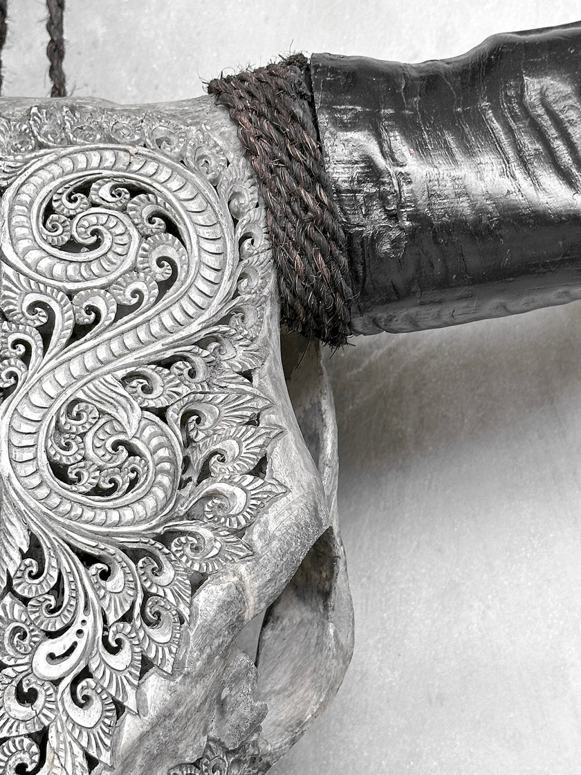 Grey Carved Buffalo Skulls with Leaf motif | Skull,A/176