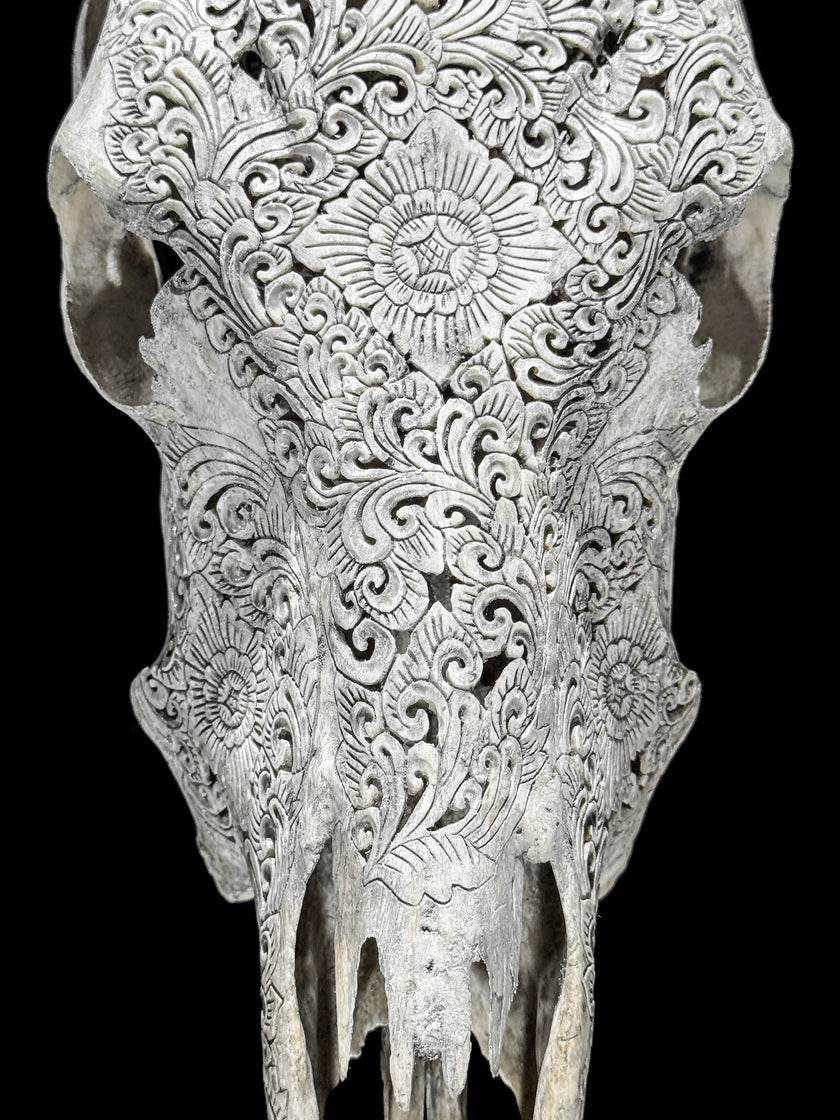 Carved Cow Skulls with New Tradbal Carving Skull,A/073