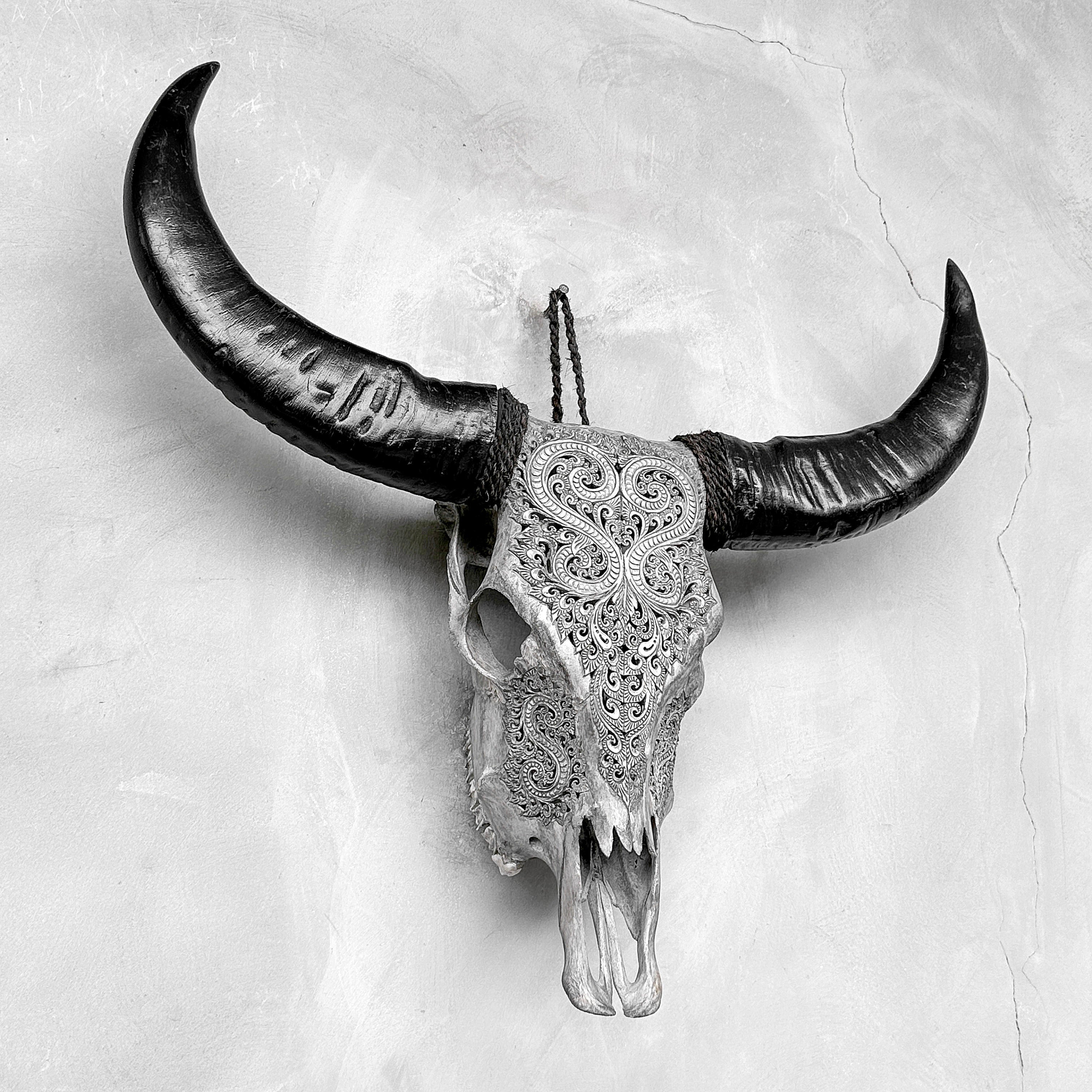 Grey Carved Buffalo Skulls with Leaf motif | Skull,A/176