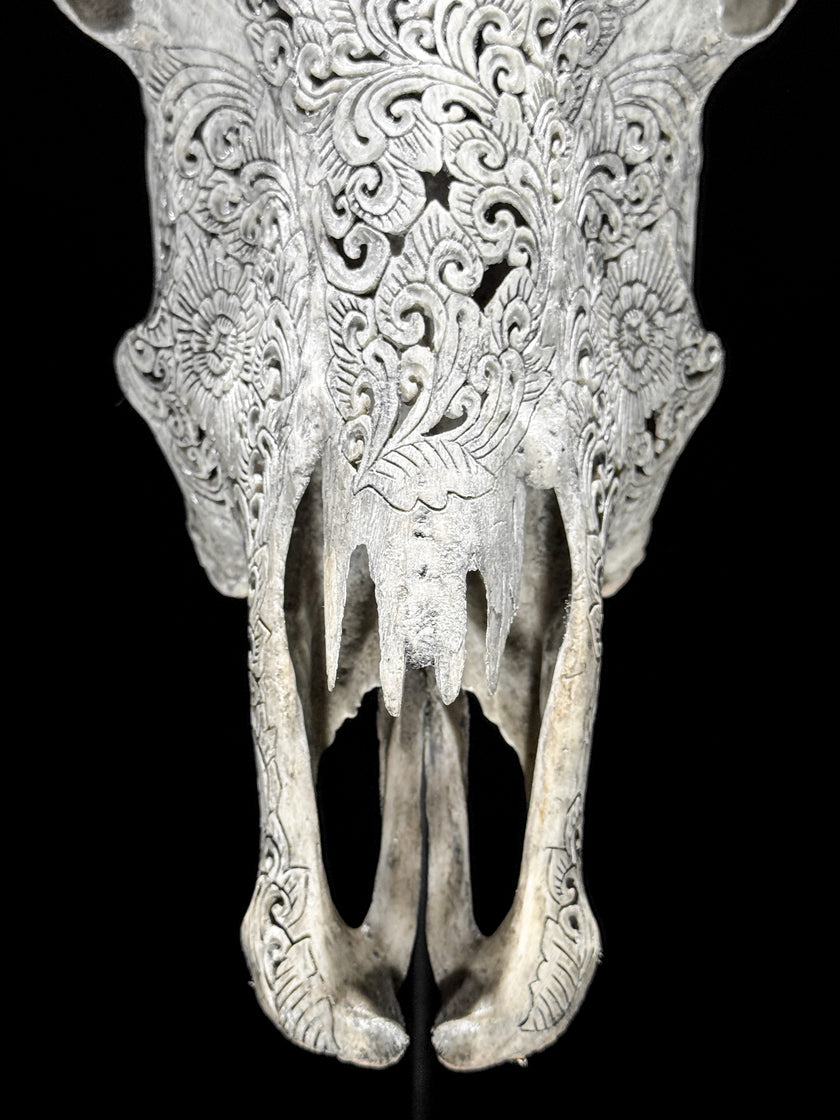 Carved Cow Skulls with New Tradbal Carving Skull,A/073