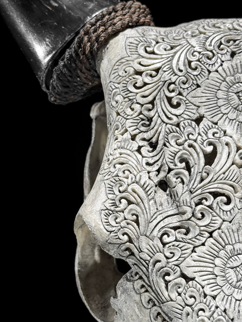 Carved Cow Skulls with New Tradbal Carving Skull,A/073