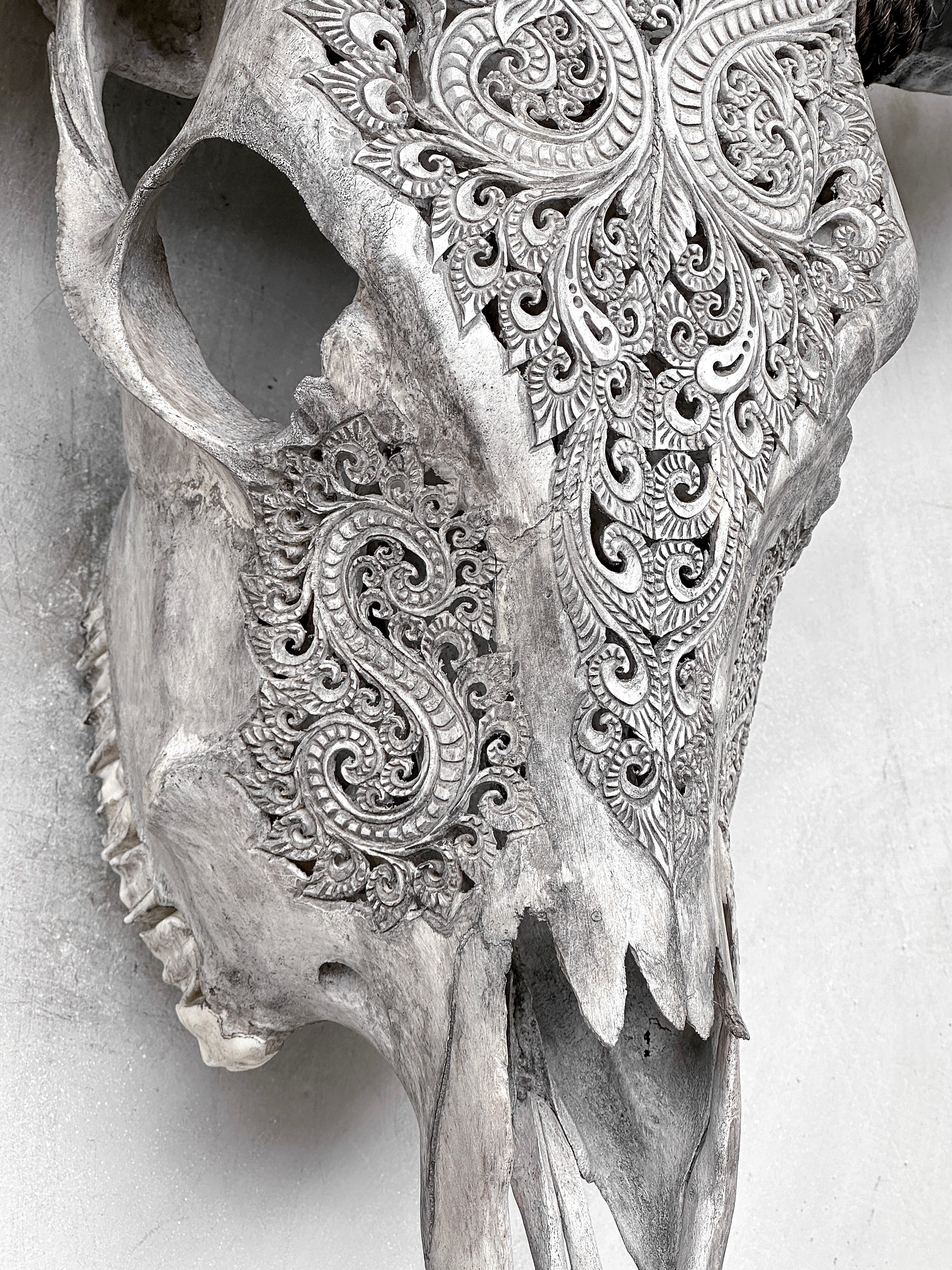 Grey Carved Buffalo Skulls with Leaf motif | Skull,A/176
