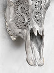 Grey Carved Buffalo Skulls with Leaf motif | Skull,A/176