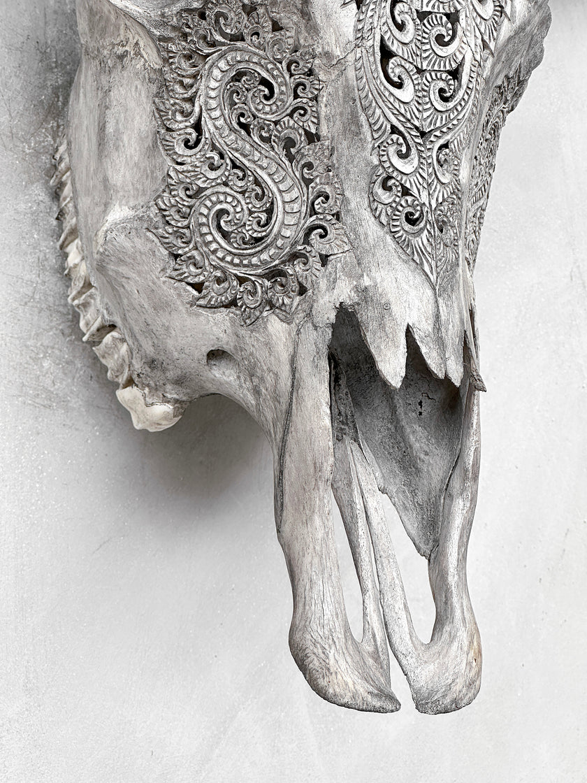 Grey Carved Buffalo Skulls with Leaf motif | Skull,A/176