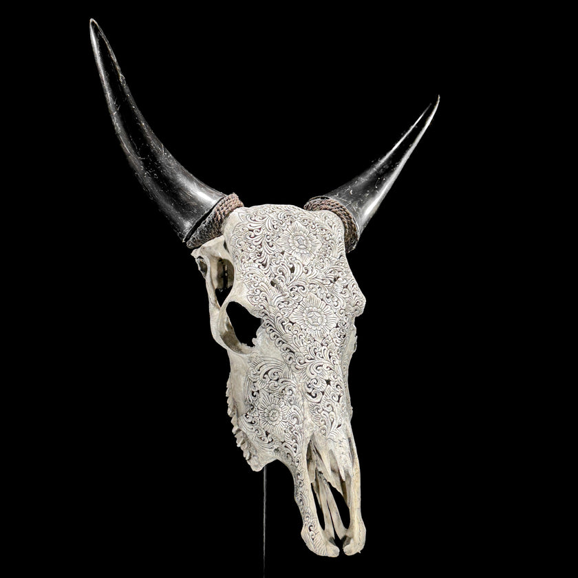 Carved Cow Skulls with New Tradbal Carving Skull,A/073