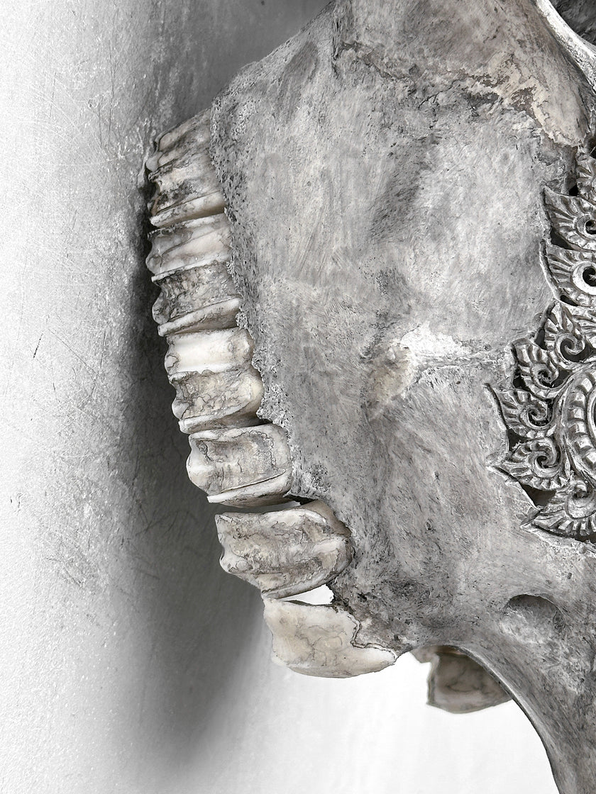 Grey Carved Buffalo Skulls with Leaf motif | Skull,A/176