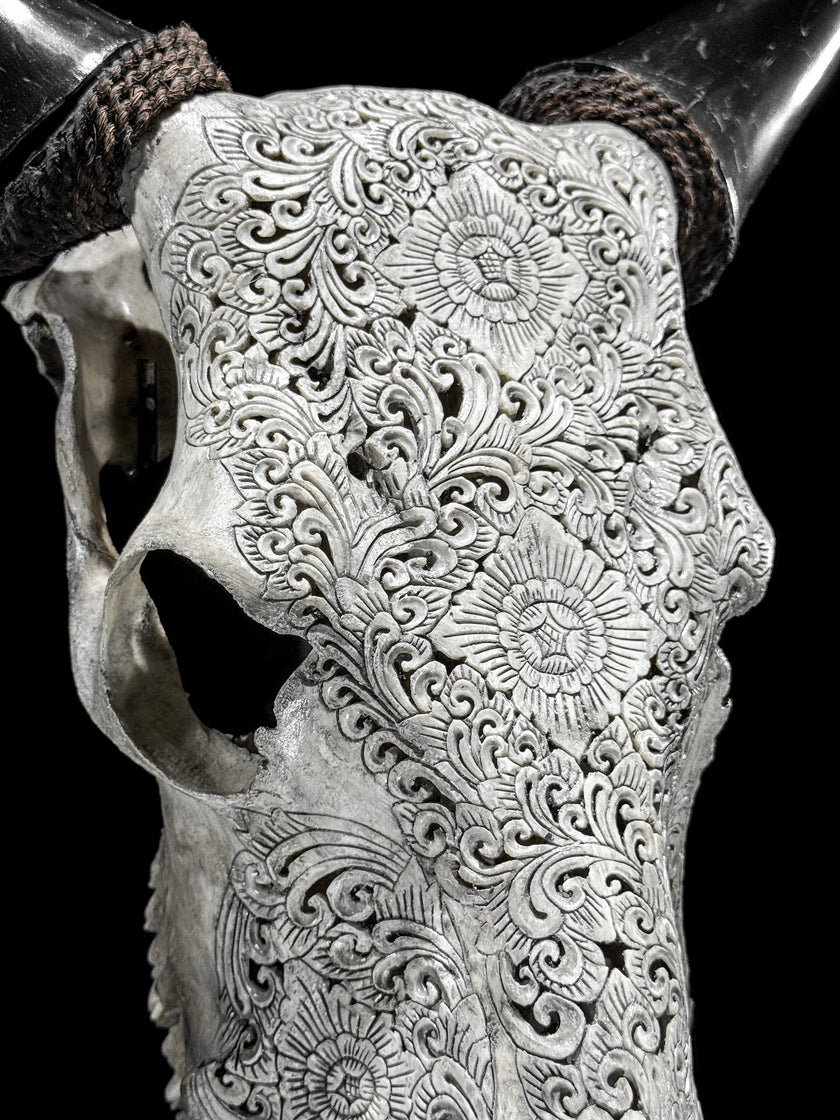 Carved Cow Skulls with New Tradbal Carving Skull,A/073