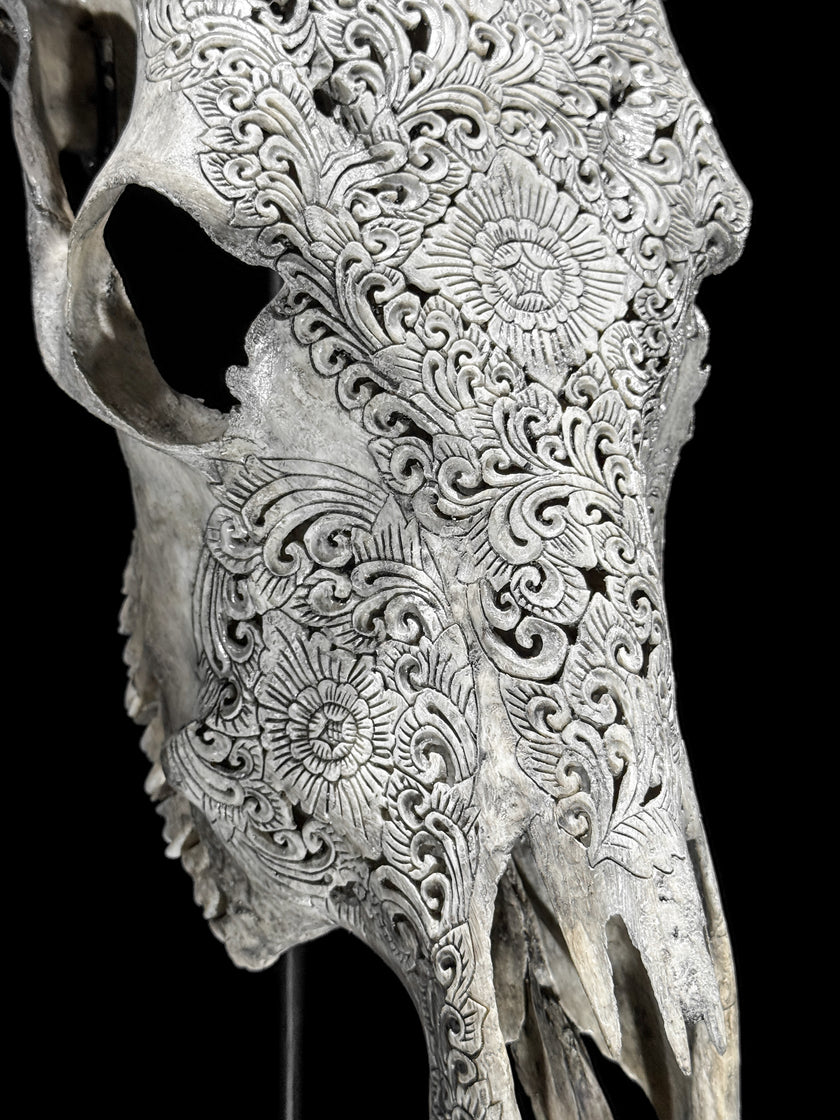 Carved Cow Skulls with New Tradbal Carving Skull,A/073