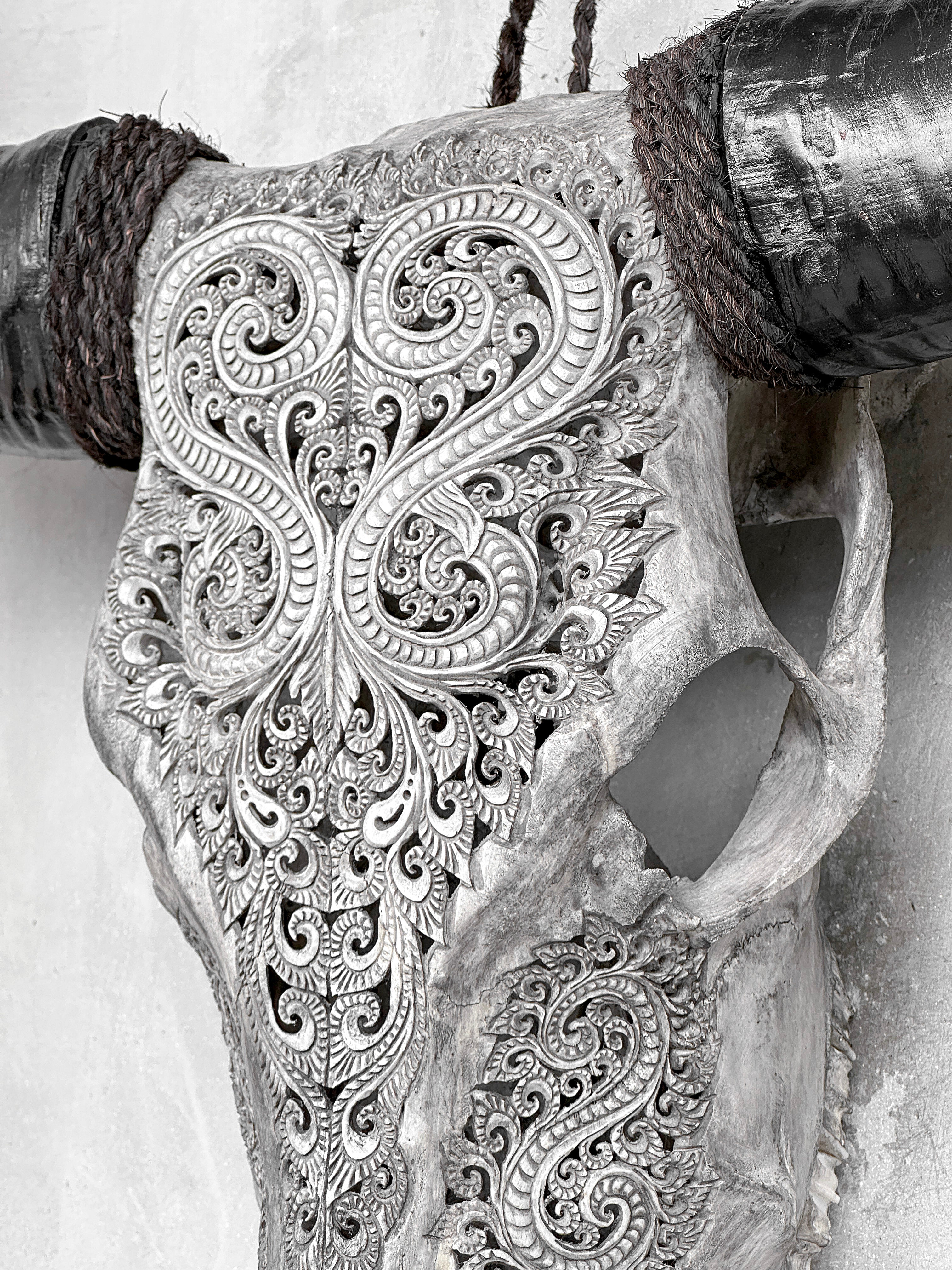 Grey Carved Buffalo Skulls with Leaf motif | Skull,A/176