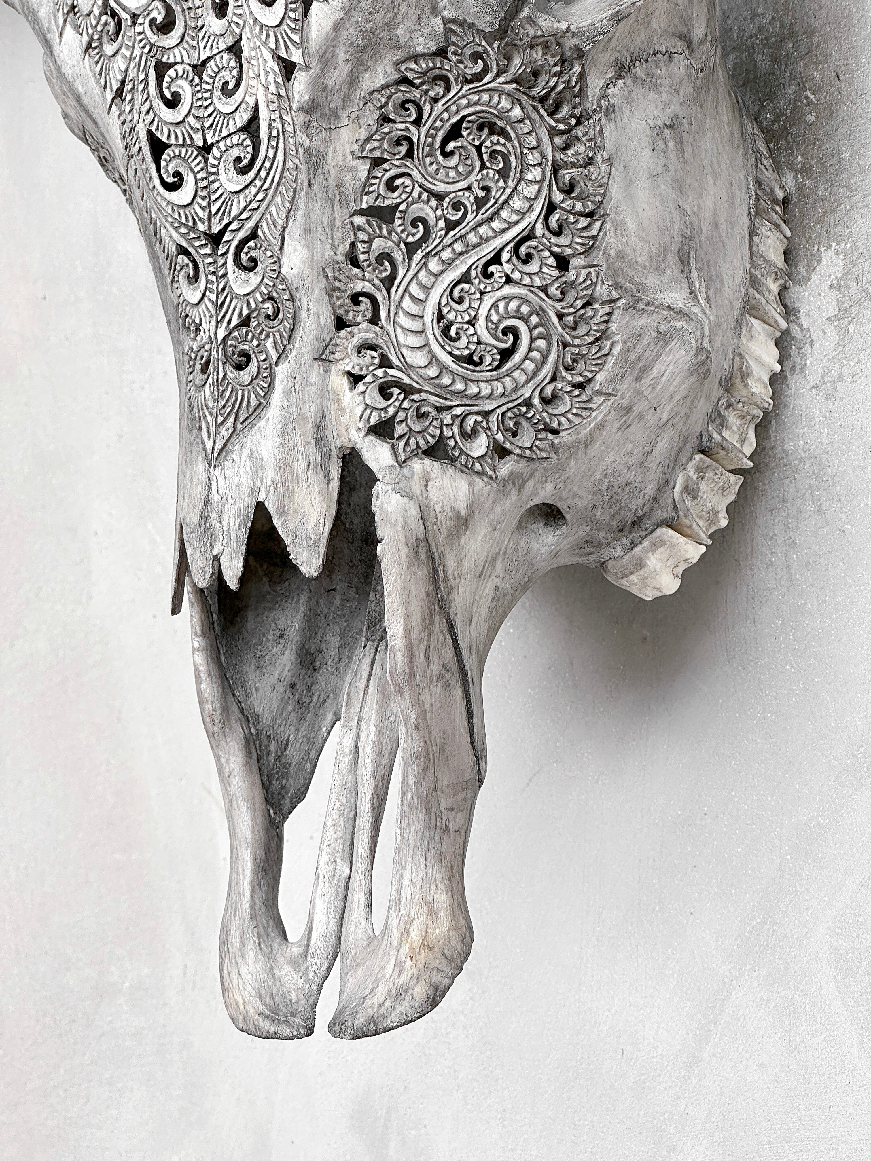 Grey Carved Buffalo Skulls with Leaf motif | Skull,A/176