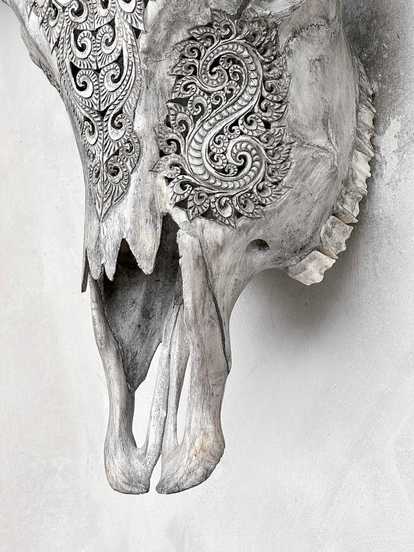 Grey Carved Buffalo Skulls with Leaf motif | Skull,A/176