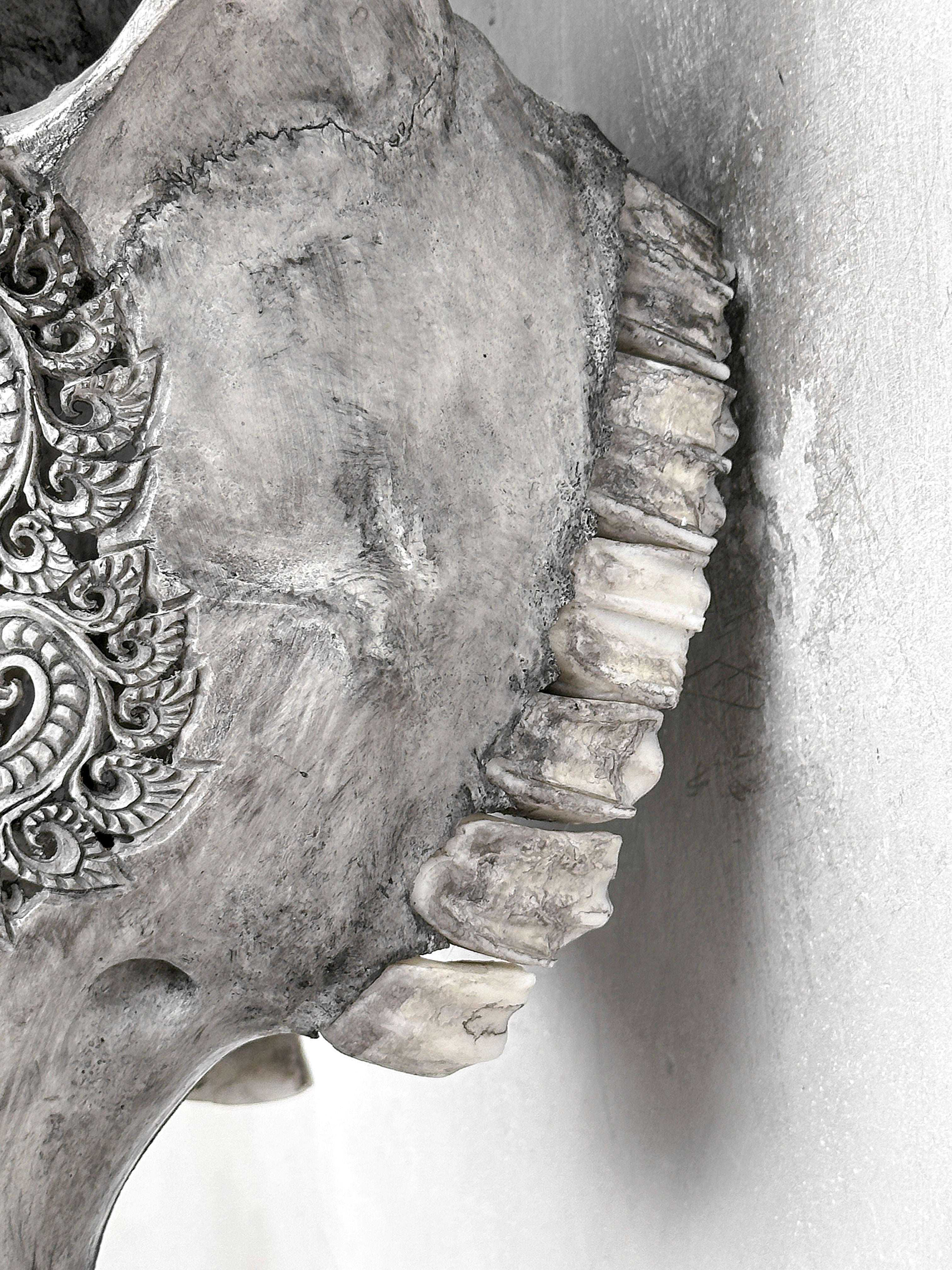 Grey Carved Buffalo Skulls with Leaf motif | Skull,A/176