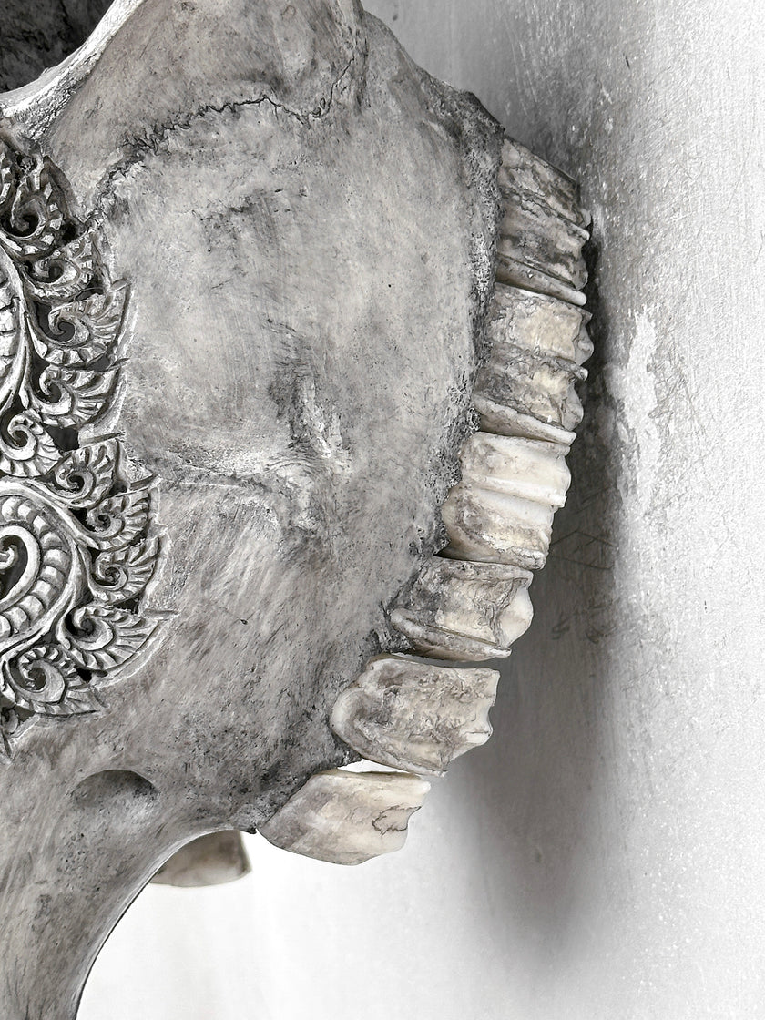 Grey Carved Buffalo Skulls with Leaf motif | Skull,A/176