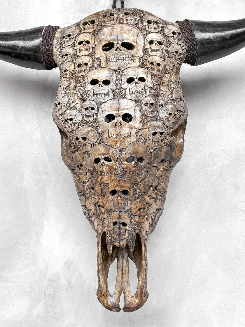 Bull Skull Carved Human Skull - Skull,A/156