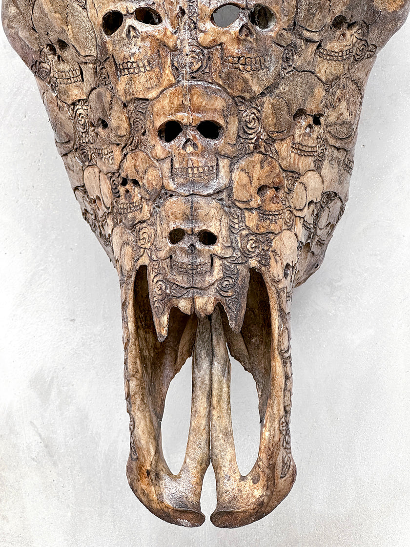 Bull Skull Carved Human Skull - Skull,A/156