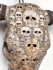 Bull Skull Carved Human Skull - Skull,A/156