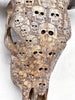 Bull Skull Carved Human Skull - Skull,A/156