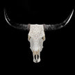White Carved Buffalo Skull with Leaf Motif — Handcrafted Wall Art - Skull,A/108