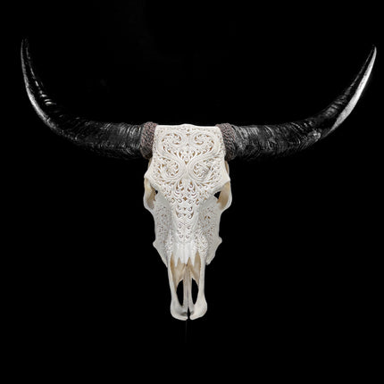 White Carved Buffalo Skull with Leaf Motif — Handcrafted Wall Art - Skull,A/108