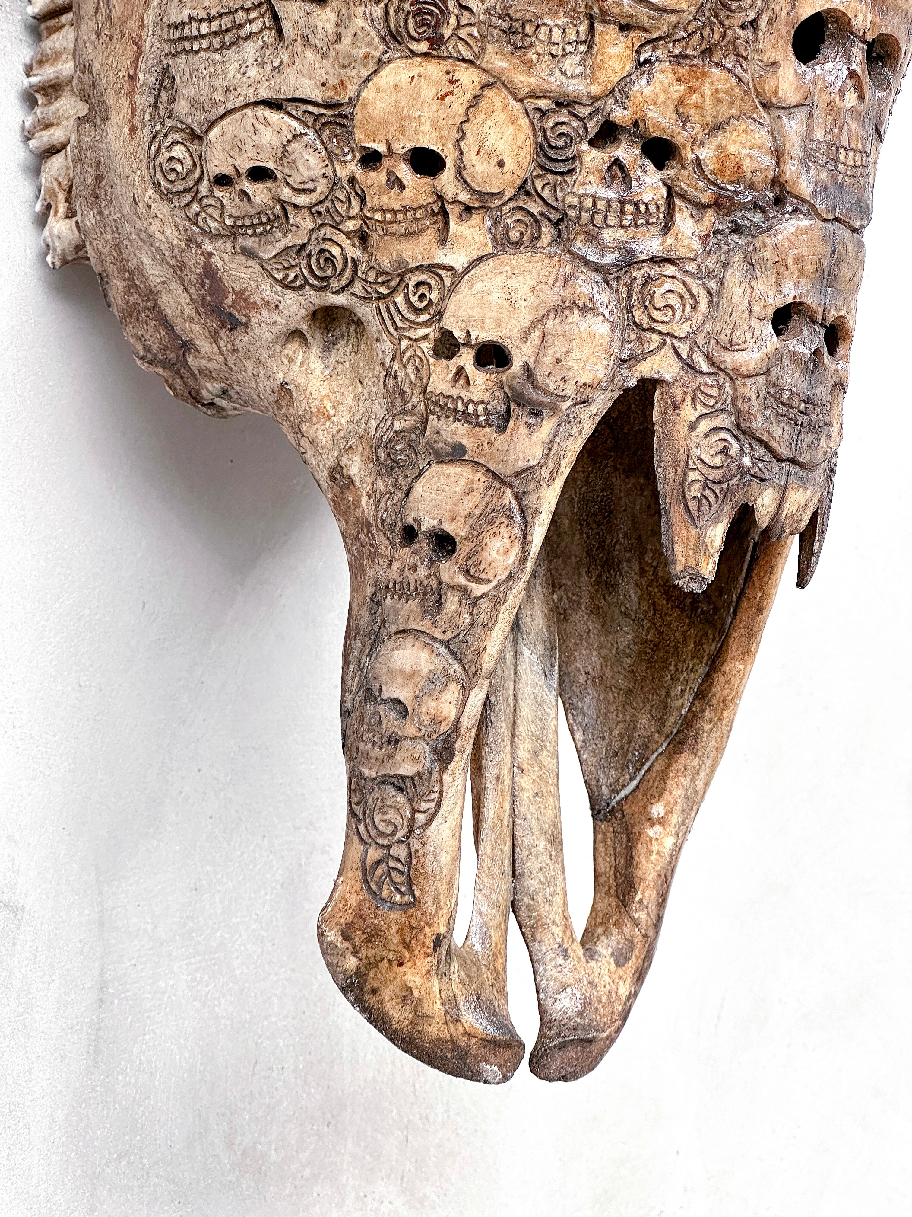 Bull Skull Carved Human Skull - Skull,A/156