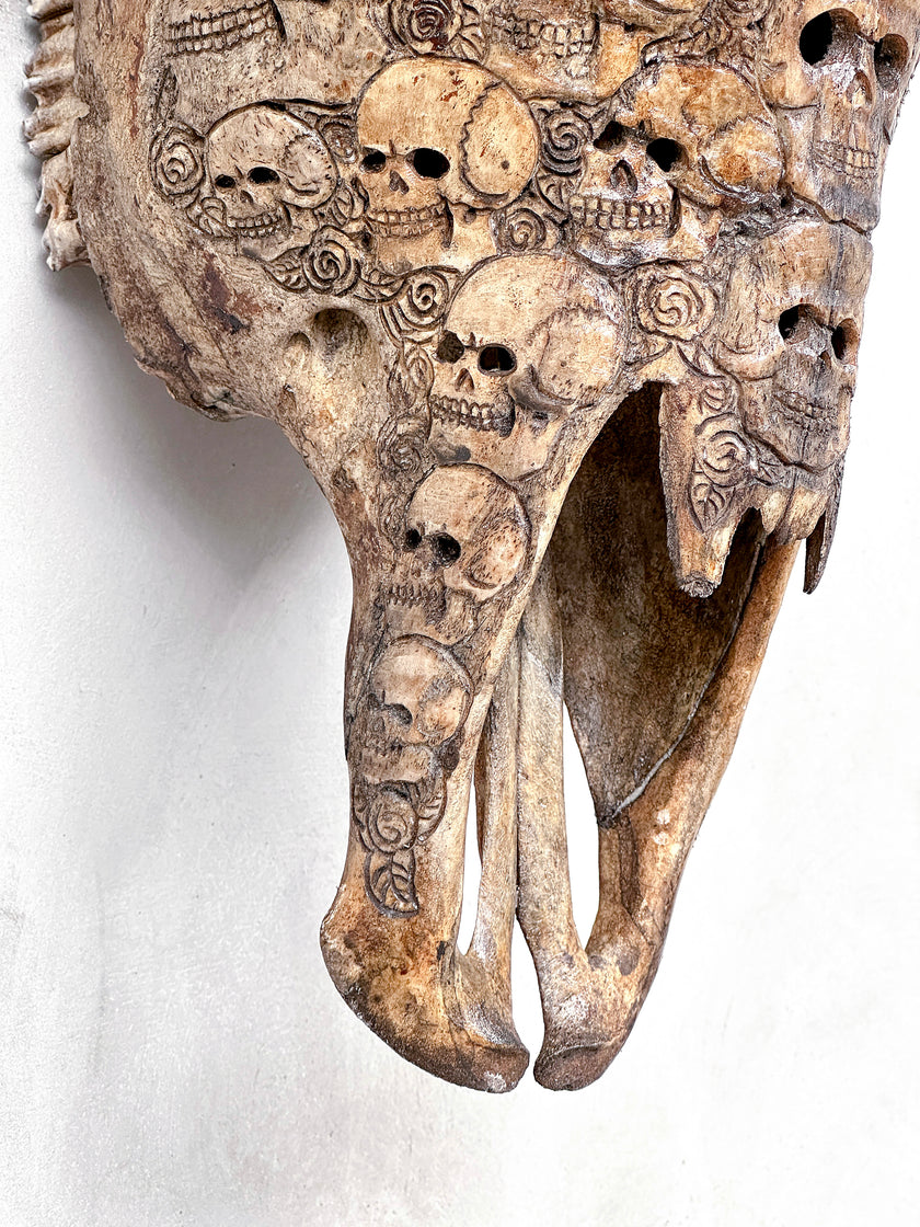 Bull Skull Carved Human Skull - Skull,A/156