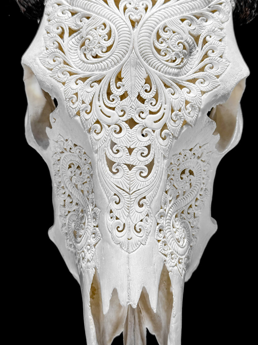White Carved Buffalo Skulls with Leaf motif | Skull,A/108