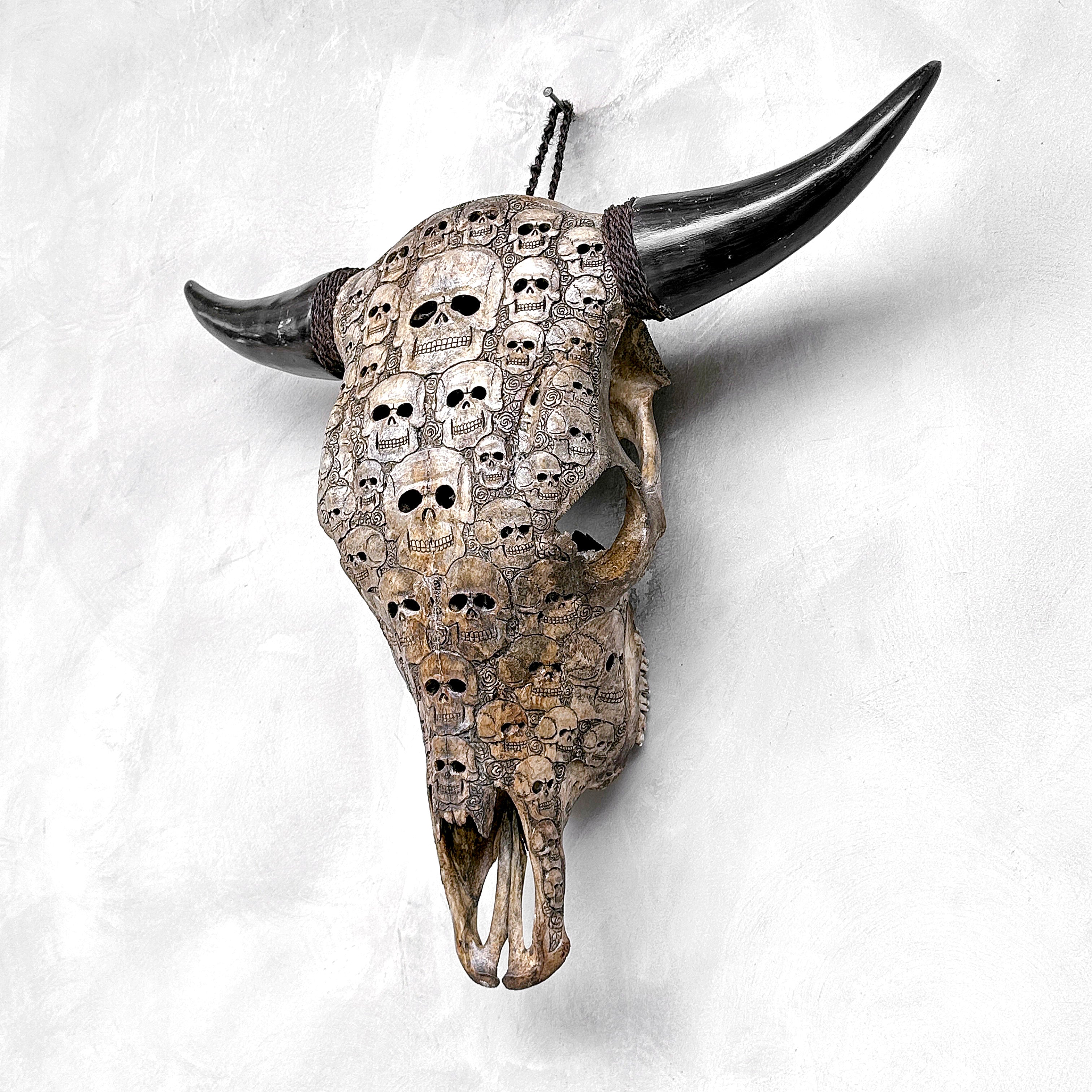 Bull Skull Carved Human Skull - Skull,A/156