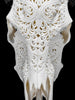 White Carved Buffalo Skull with Leaf Motif — Handcrafted Wall Art - Skull,A/108