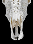 White Carved Buffalo Skull with Leaf Motif — Handcrafted Wall Art - Skull,A/108