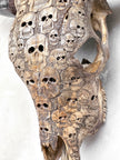Bull Skull Carved Human Skull - Skull,A/156
