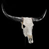 White Carved Buffalo Skull with Leaf Motif — Handcrafted Wall Art - Skull,A/108