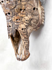 Bull Skull Carved Human Skull - Skull,A/156