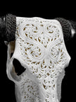 White Carved Buffalo Skull with Leaf Motif — Handcrafted Wall Art - Skull,A/108