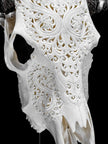 White Carved Buffalo Skull with Leaf Motif — Handcrafted Wall Art - Skull,A/108
