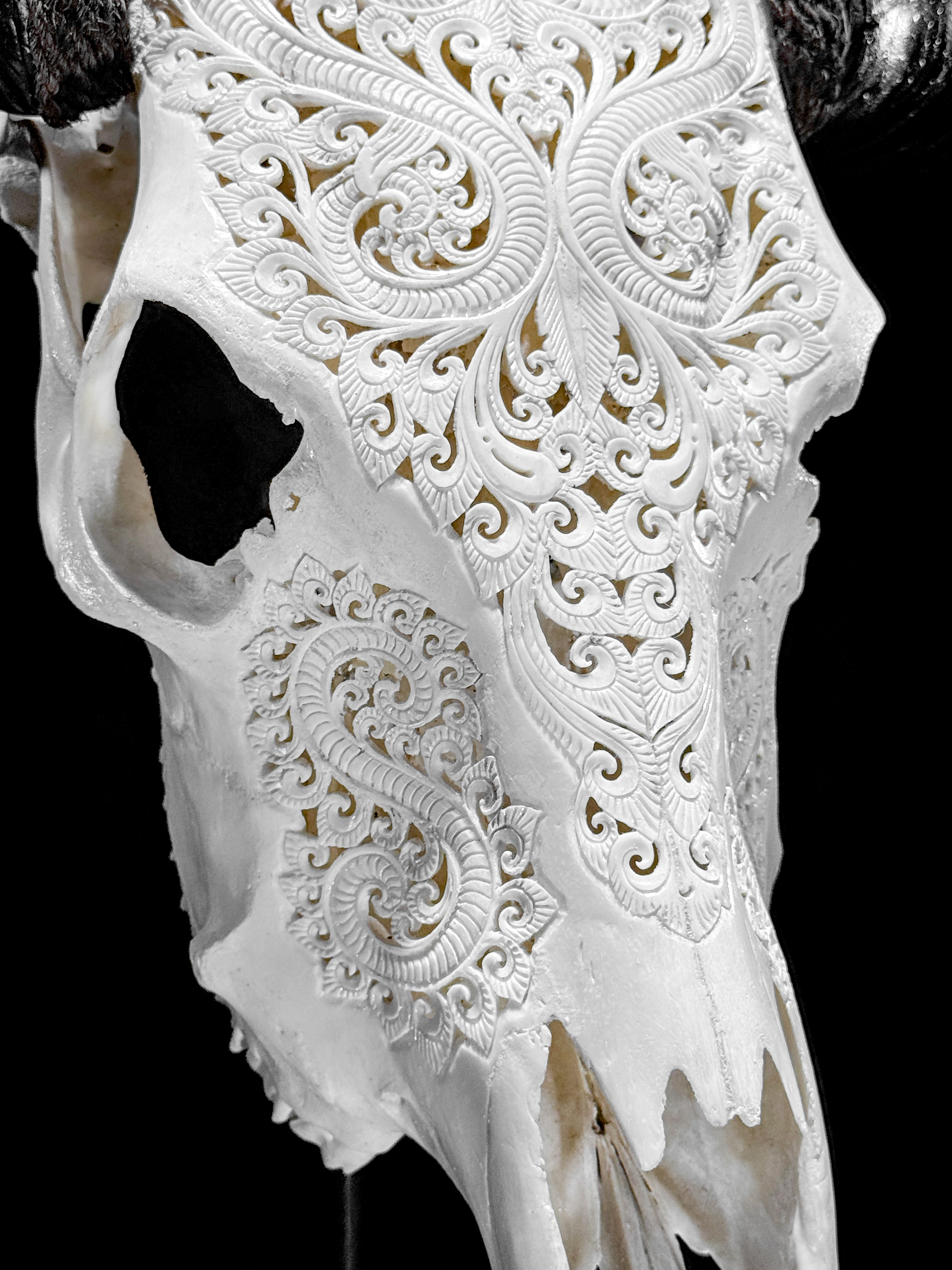 White Carved Buffalo Skull with Leaf Motif — Handcrafted Wall Art - Skull,A/108