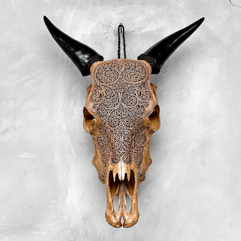 Carved Cow Skulls with Fern Carving Skull,A/183