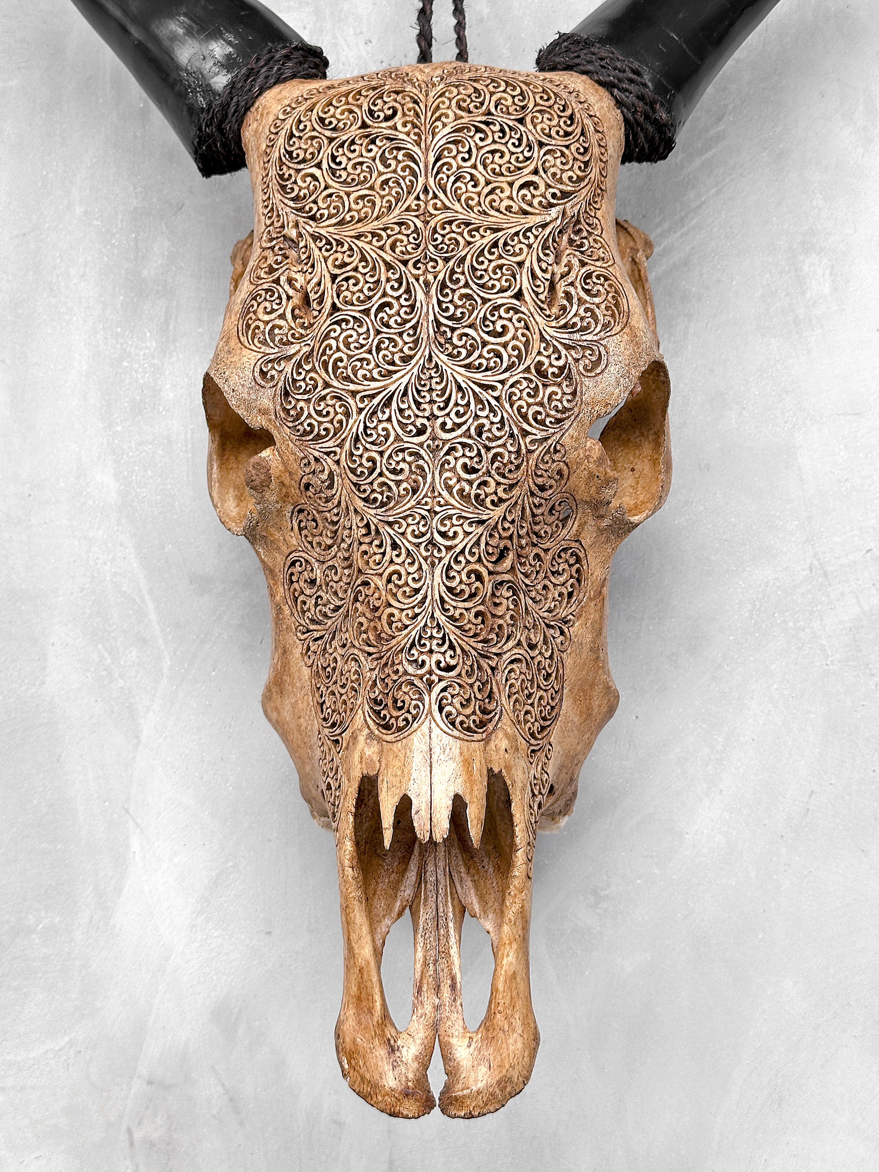 Carved Cow Skulls with Fern Carving Skull,A/183