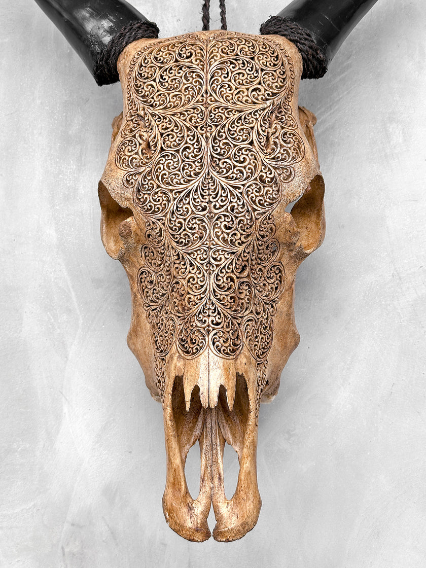 Carved Cow Skulls with Fern Carving Skull,A/183