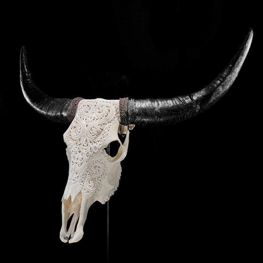 White Carved Buffalo Skulls with Leaf motif | Skull,A/108