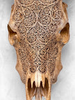 Carved Cow Skulls with Fern Carving Skull,A/183