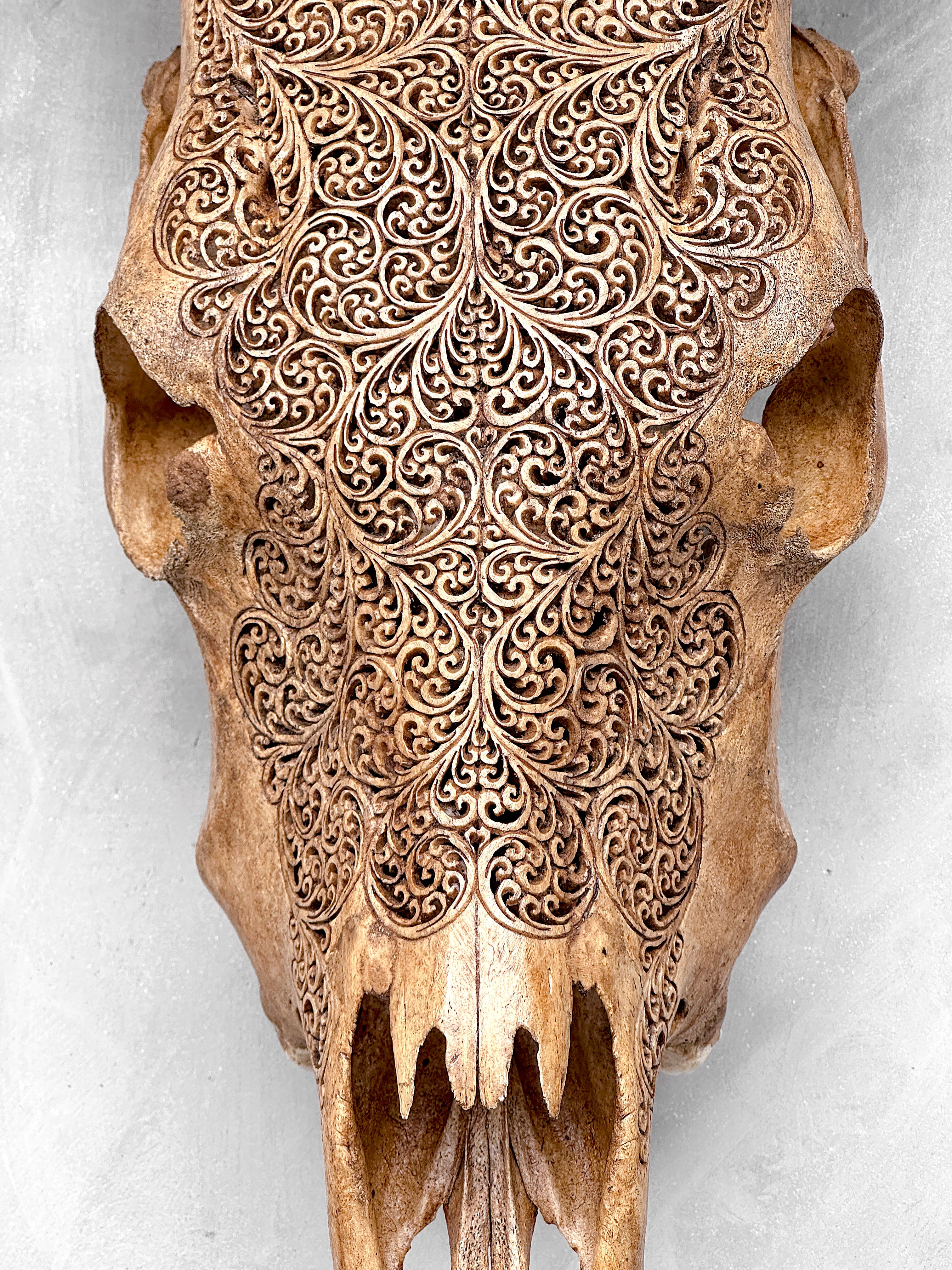 Carved Cow Skulls with Fern Carving Skull,A/183