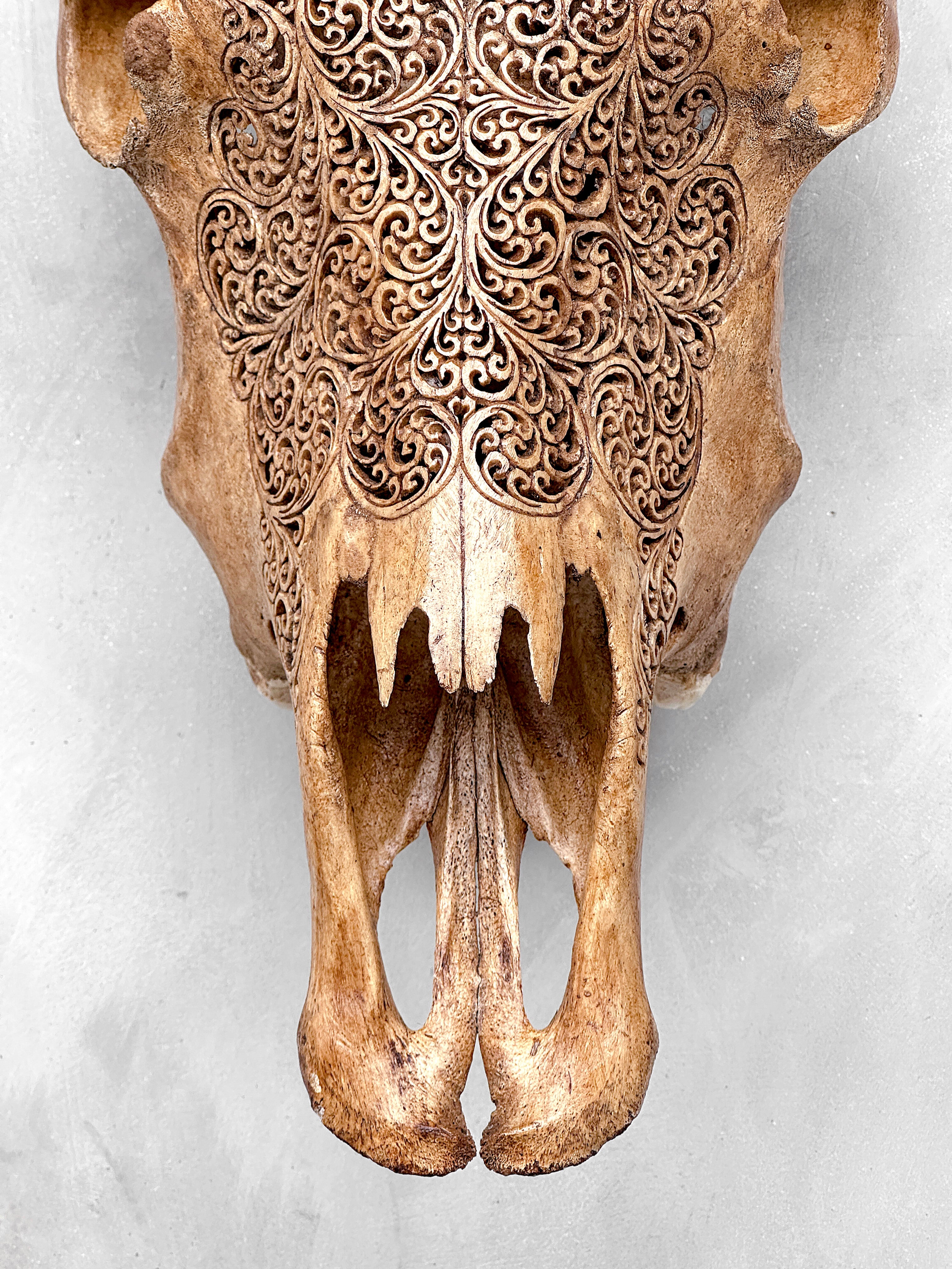 Carved Cow Skulls with Fern Carving Skull,A/183