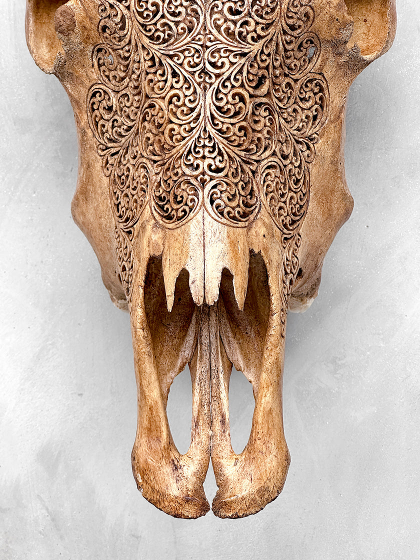 Carved Cow Skulls with Fern Carving Skull,A/183