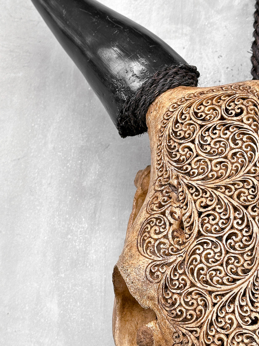 Carved Cow Skulls with Fern Carving Skull,A/183