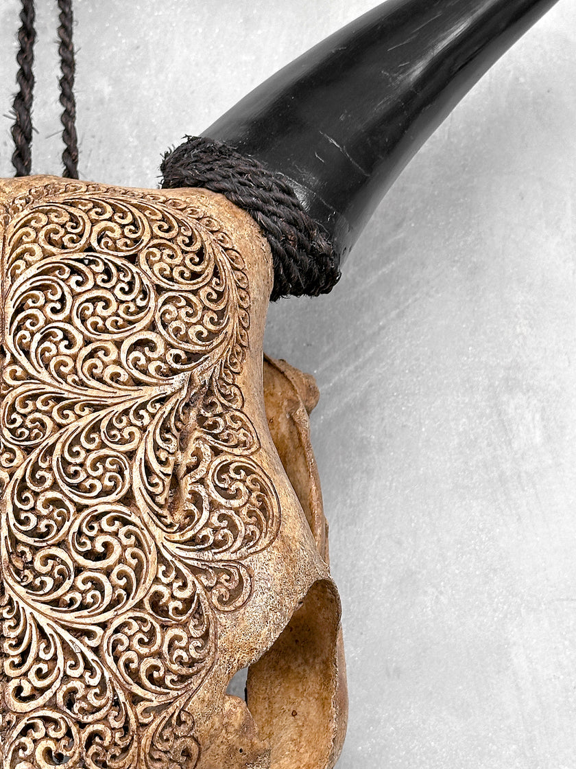 Carved Cow Skulls with Fern Carving Skull,A/183