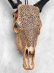 Carved Cow Skulls with Fern Carving Skull,A/183